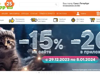 Портфолио