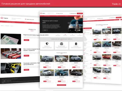 Портфолио