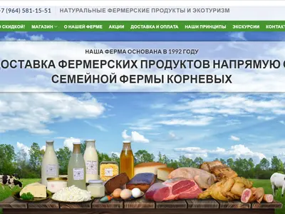 Портфолио